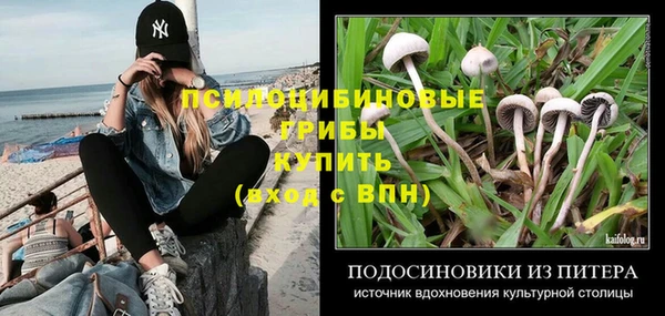 винт Баксан