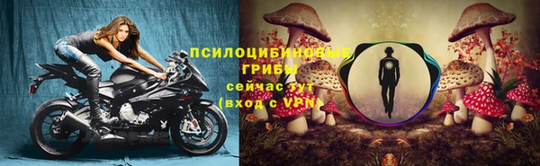 дмт Балахна