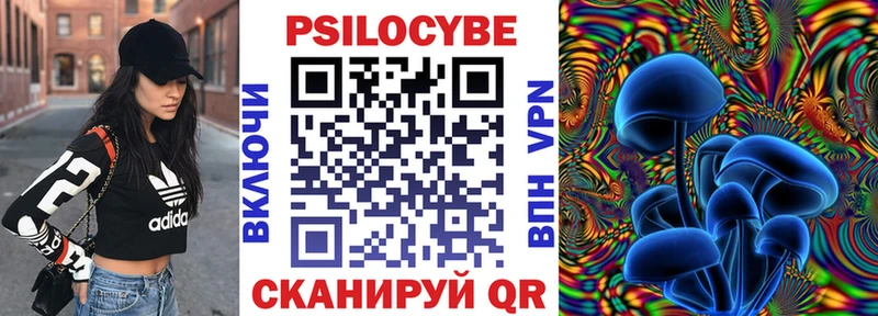 закладки  Кущёвская  hydra маркетплейс  Галлюциногенные грибы Psilocybine cubensis 